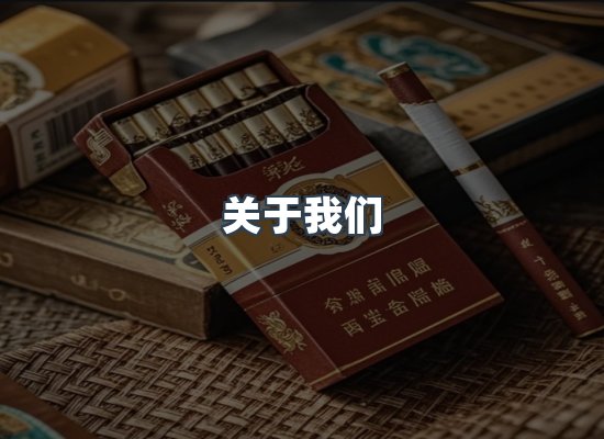 关于我们